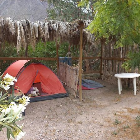 Hotel Astro Camping Elqui Experience à Vicuña Extérieur photo