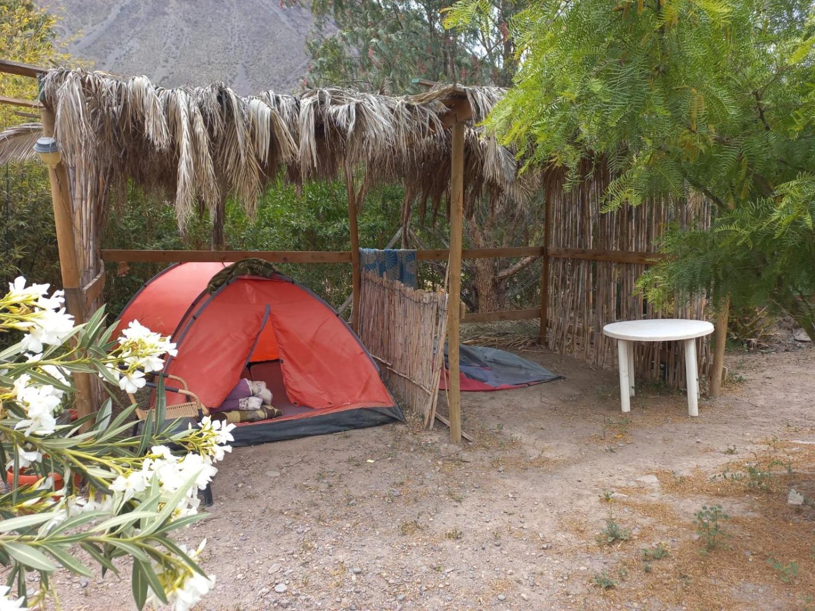 Hotel Astro Camping Elqui Experience à Vicuña Extérieur photo